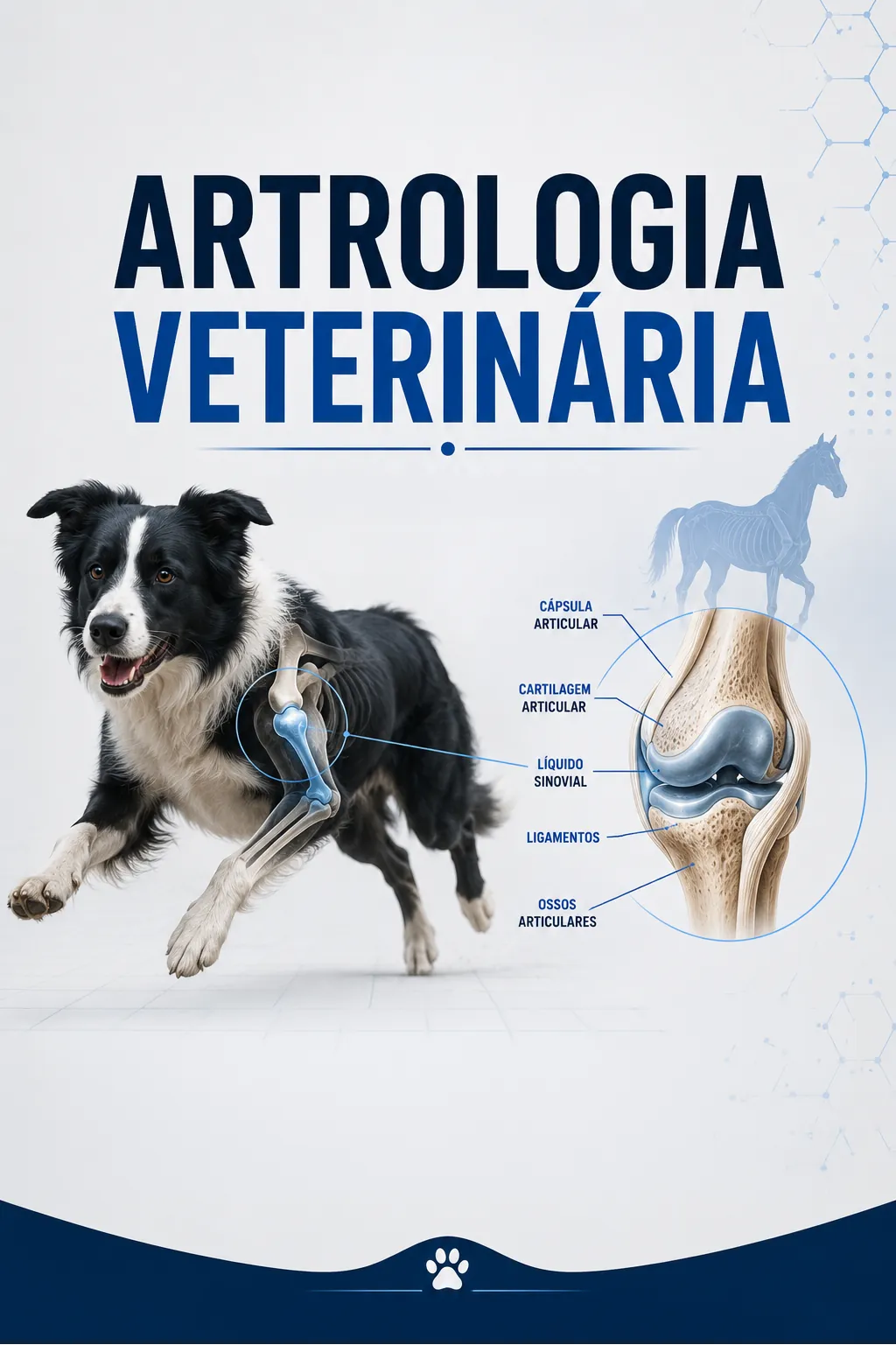 Artrologia Veterinária Capa